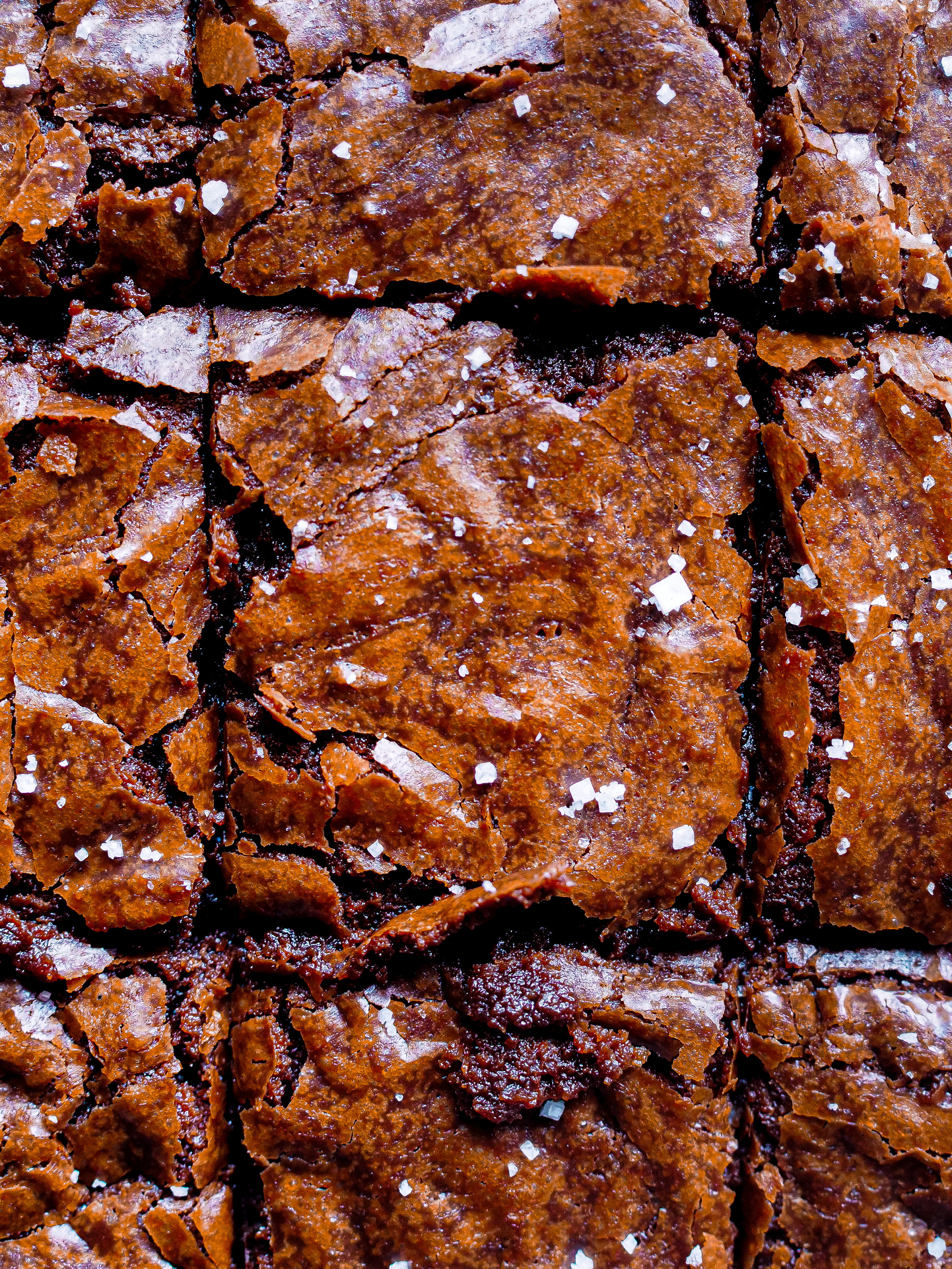 gros plan sur les brownies