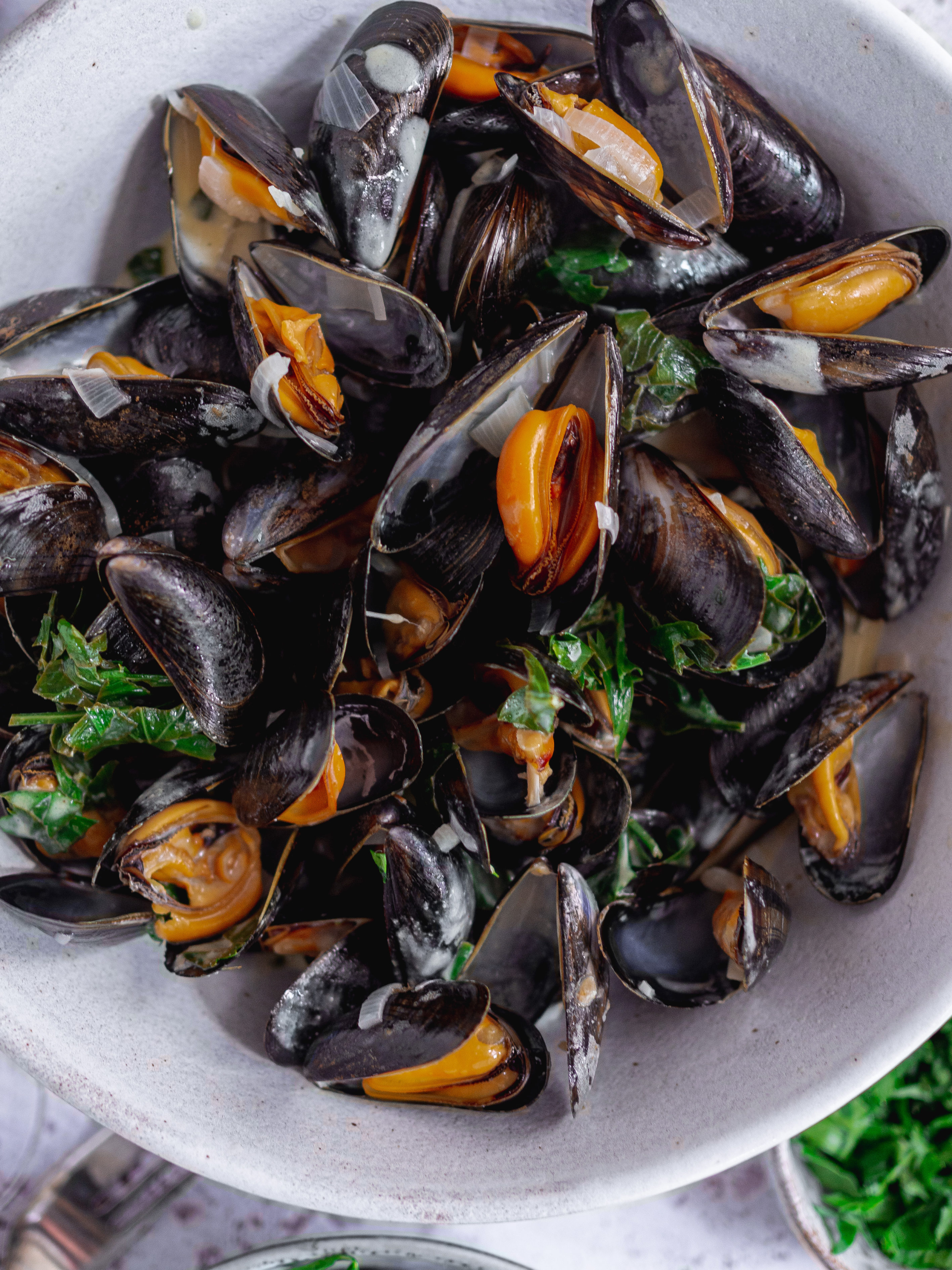 moules au vin blanc et frites